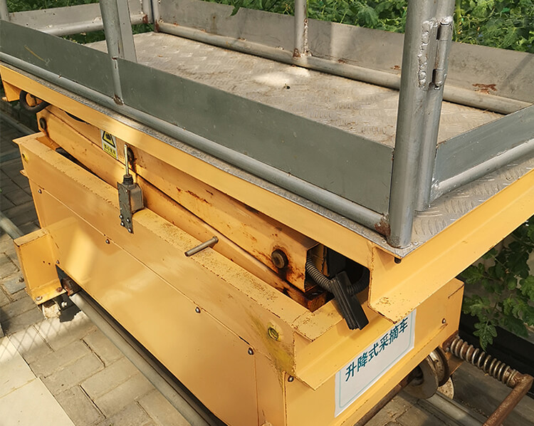 Orchard Picking Platform Lift